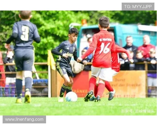 迷你罗加盟皇马为保持状态 等待中东局势稳定 迷你罗加盟皇马为保持状态 等待中东局势稳定